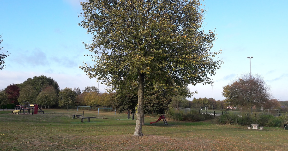 Aangepaste openingstijden gemeente Woensdrecht tijdens feestdagen