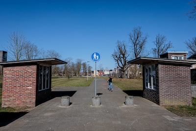 Image related to the article