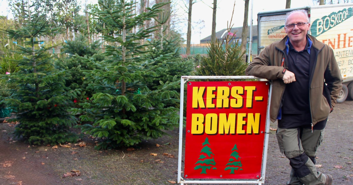 Krapte in heel Europa: dit is waarom er minder kerstbomen beschikbaar zijn
