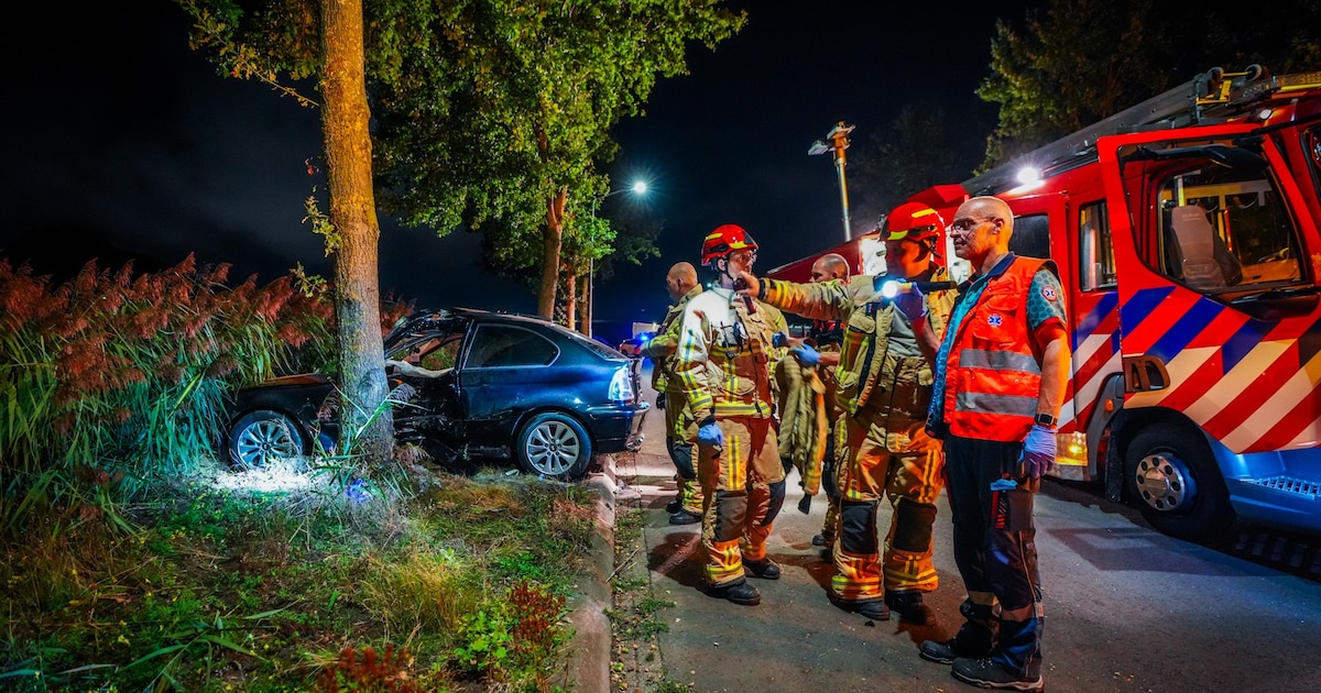 Auto raakt van de weg en botst tegen boom in Helmond, bestuurder stapt zelf uit wrak