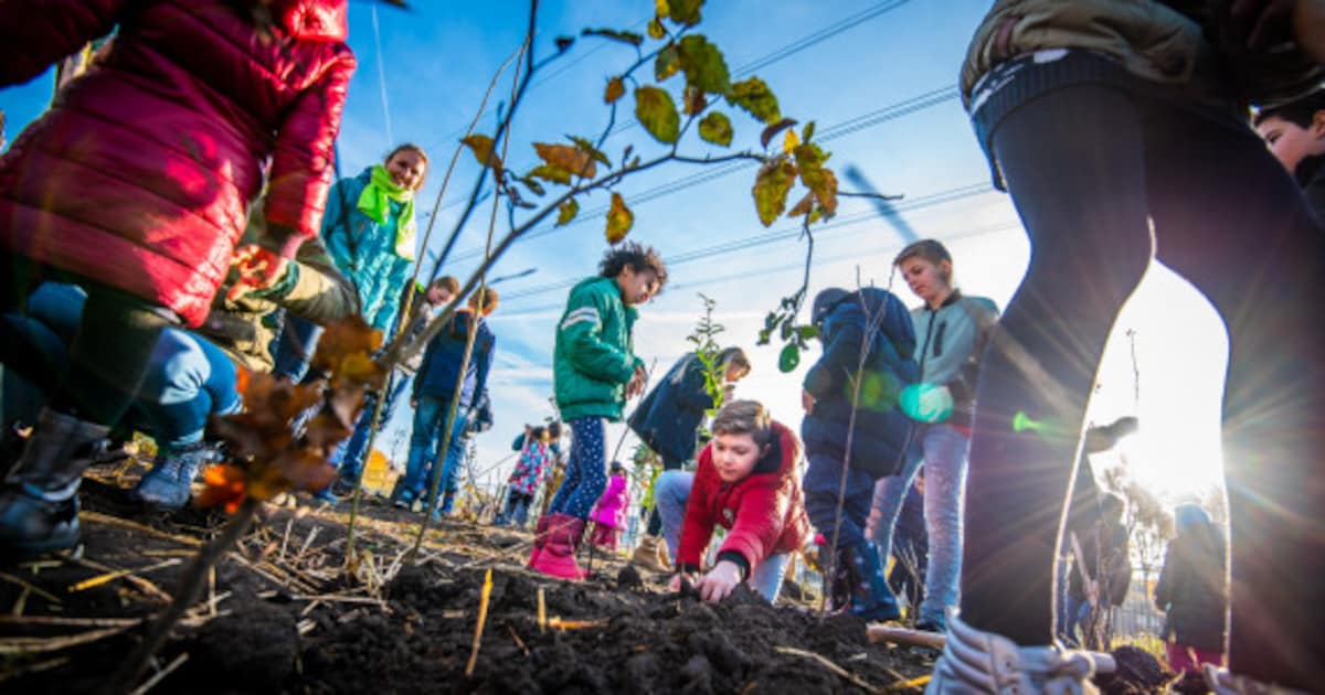 Tiny Forest wordt geplant in Oost-Souburg