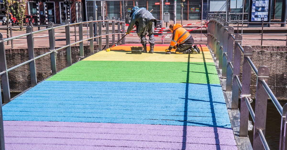 Regenboogbrug in Delft gaat dicht voor onderhoud | Regio | AD.nl