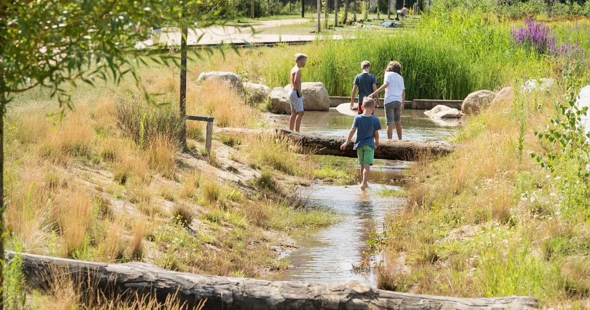Maastricht vraagt inwoners mee te denken over groen tussen Limmel en de Maas