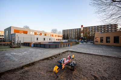 Image related to the article