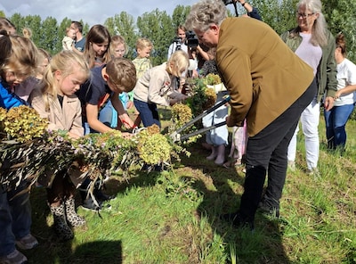 Vernieuwde Kikkertuin in Esch is officieel open