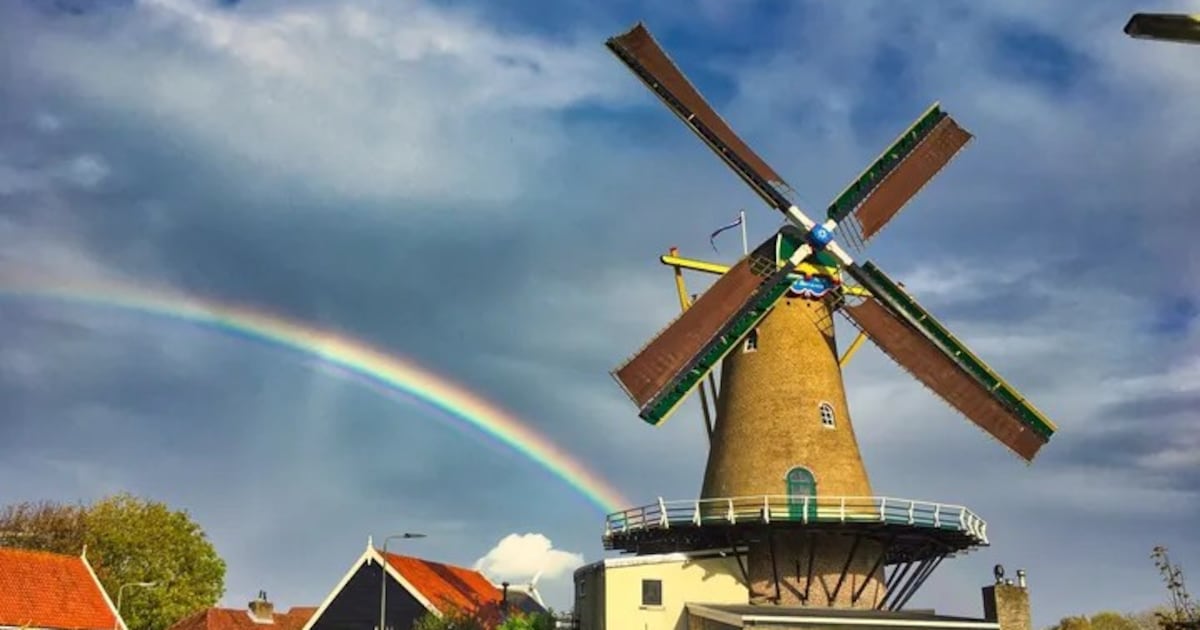 Molenaar begint doneeractie voor restauratie van wieken Bernissemolen