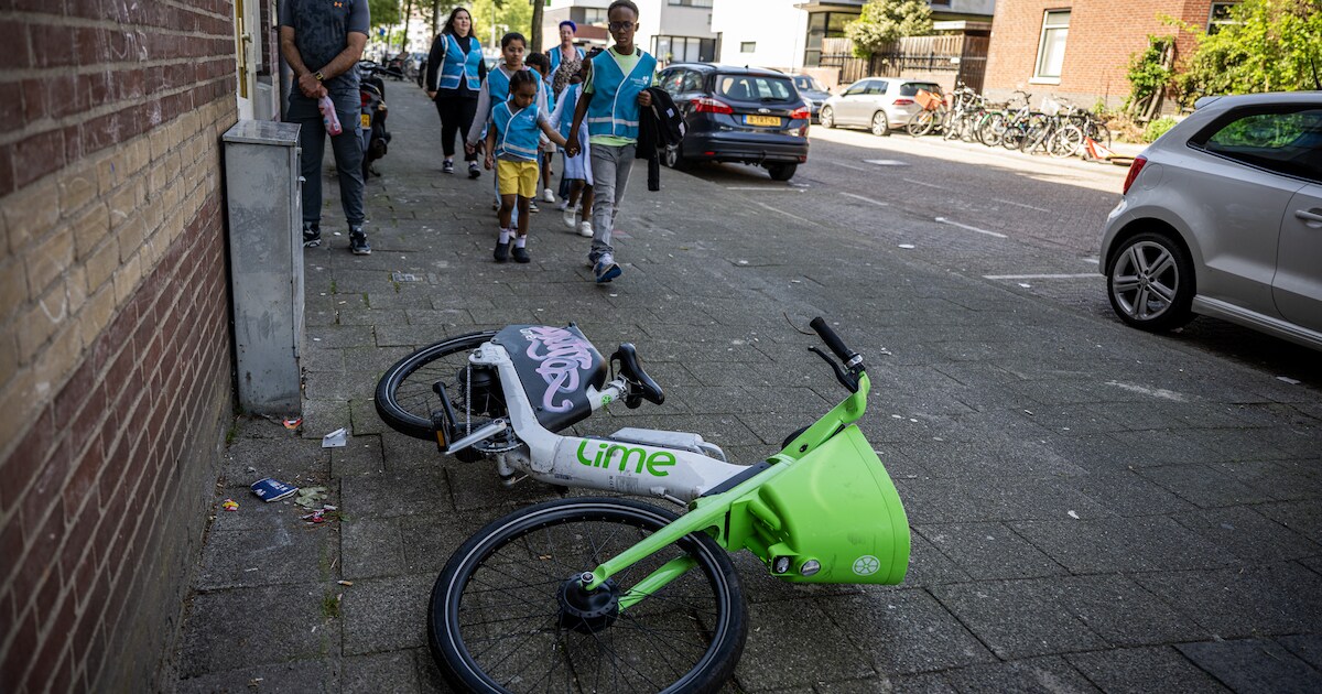 Duurzame oplossing of chaos op straat? Rotterdamse lezers over groene ...