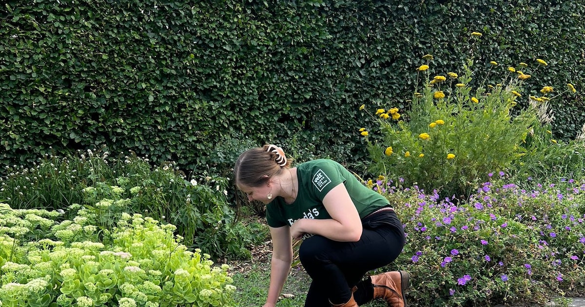 Coachcafé over klimaat en biodiversiteit in Vianen