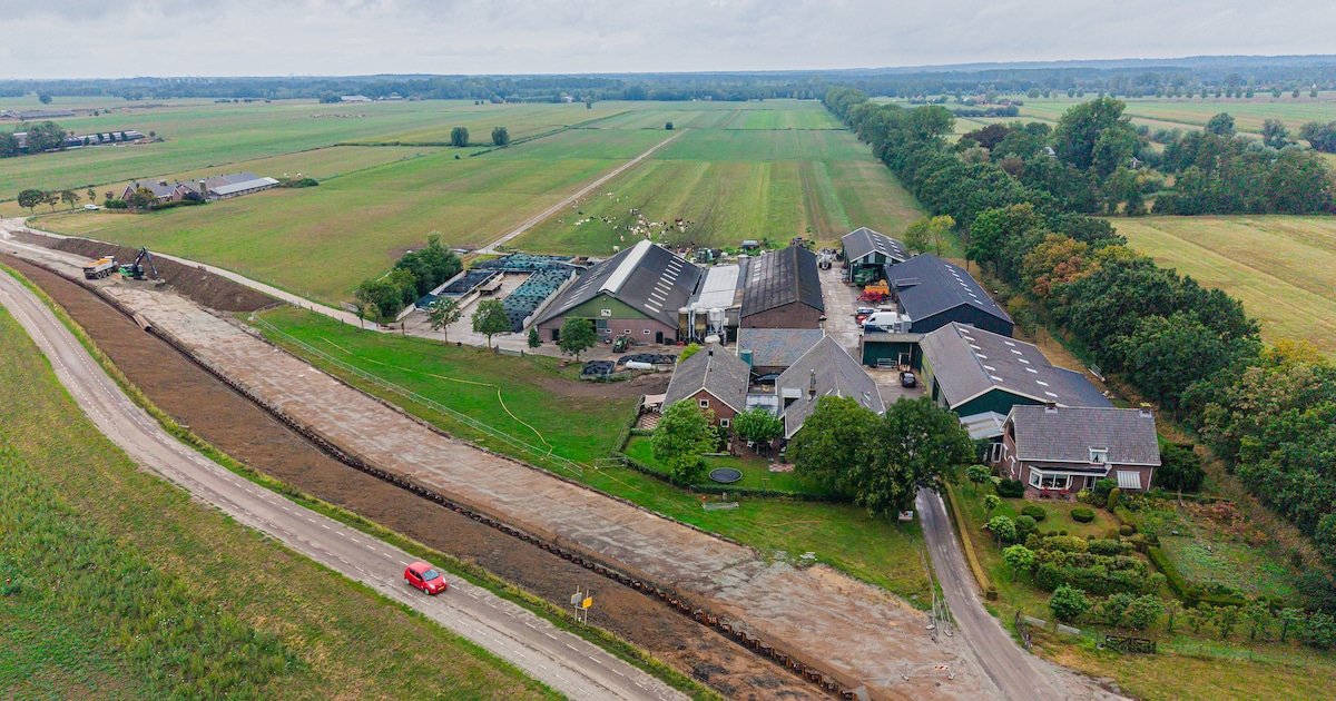 Nieuwe natuur bezorgt boerenfamilie aan Lekdijk natte voeten en die strijdt al jaren voor een oploss