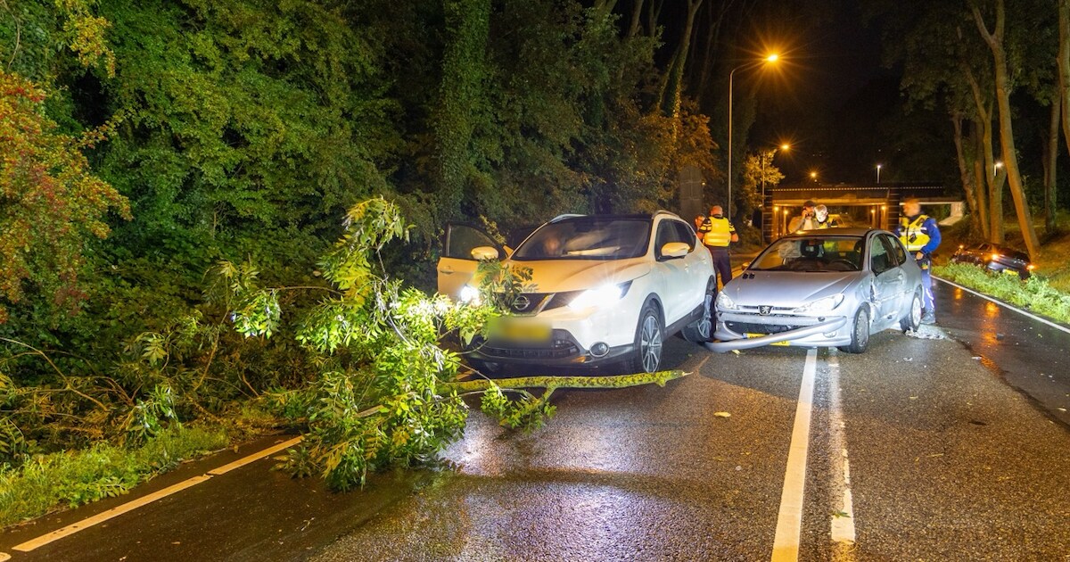 Omgevallen boom zorgt voor ongeval met meerdere voertuigen Provincialeweg in Hoorn