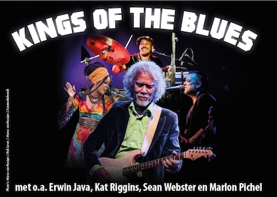 Erwin Java brengt ode aan blues legendes in Theater Lampegiet