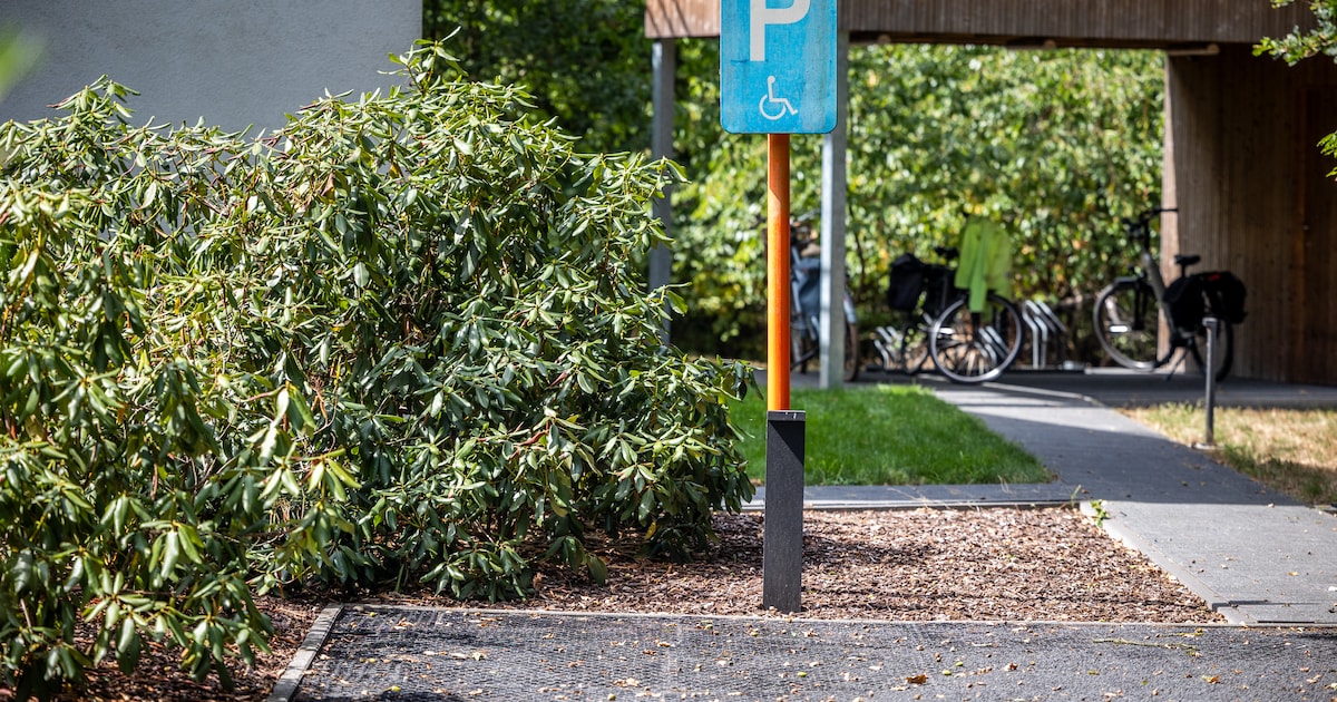 Aantal foutparkeerders op mindervalidenplaatsen in politiezone Grens blijft dalen
