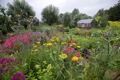 Alle protesten en bezwaren ten spijt: illegale tuin Het Verborgen Paradijs moet terug in ‘natuurlijk