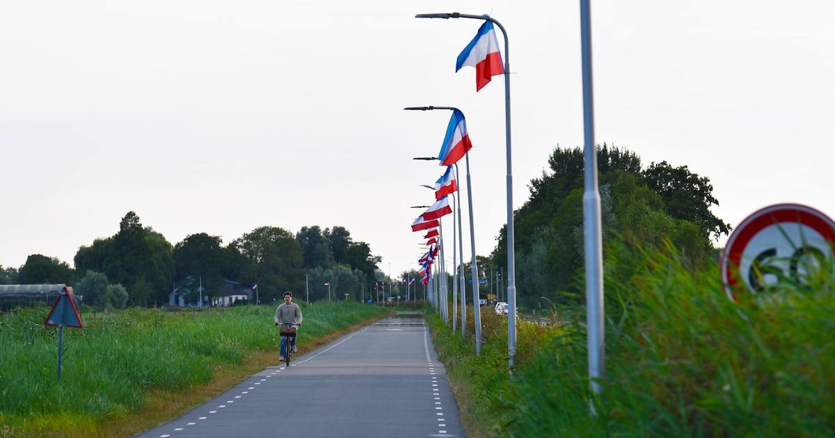 Tientallen omgekeerde Nederlandse vlaggen aan lantaarnpalen: boeren in Stichtse Vecht slaan alarm