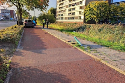 Auto eindigt in bosjes na crash tegen lantaarnpaal op Industrielaan in Veenendaal