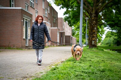 Geschokte reacties na vondst van drie dode honden in woning: ‘Het maakt me furieus’