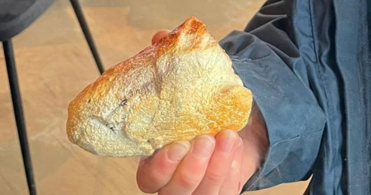 ‘Mooi steentje’ blijkt fosfor en veroorzaakt brand onder paviljoen: ‘Hebben geluk gehad’