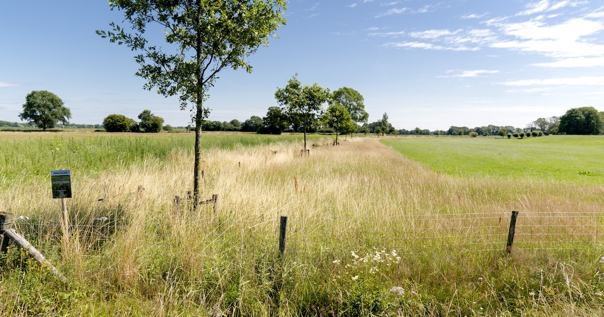 BoerenNatuur Zomerweken vandaag van start met excursies door het Brabantse boerenland