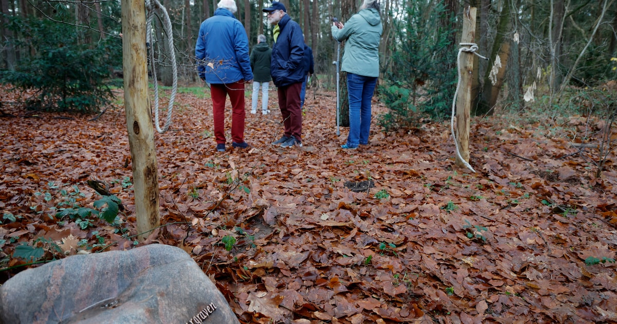 Natuurbegraven in Zeist, een mooie optie voor als het zo ver is of liever niet?