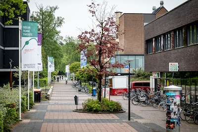 Image related to the article