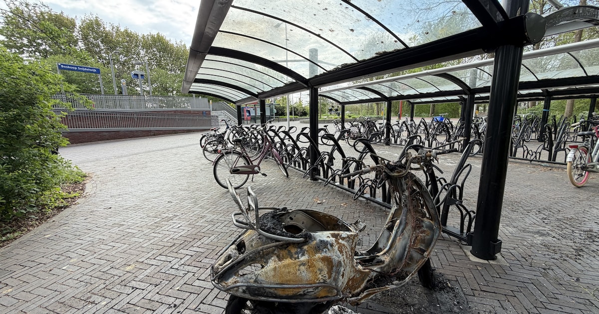 Scooter verwoest door brand bij station in Boskoop