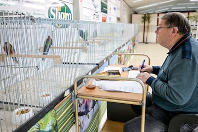 Niets lijkt keurmeesters te ontgaan in grote vogelkeuring