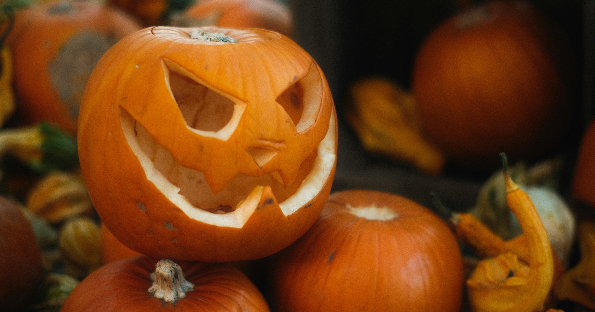 Horrortocht 'The Night of Horror' in Rucphen