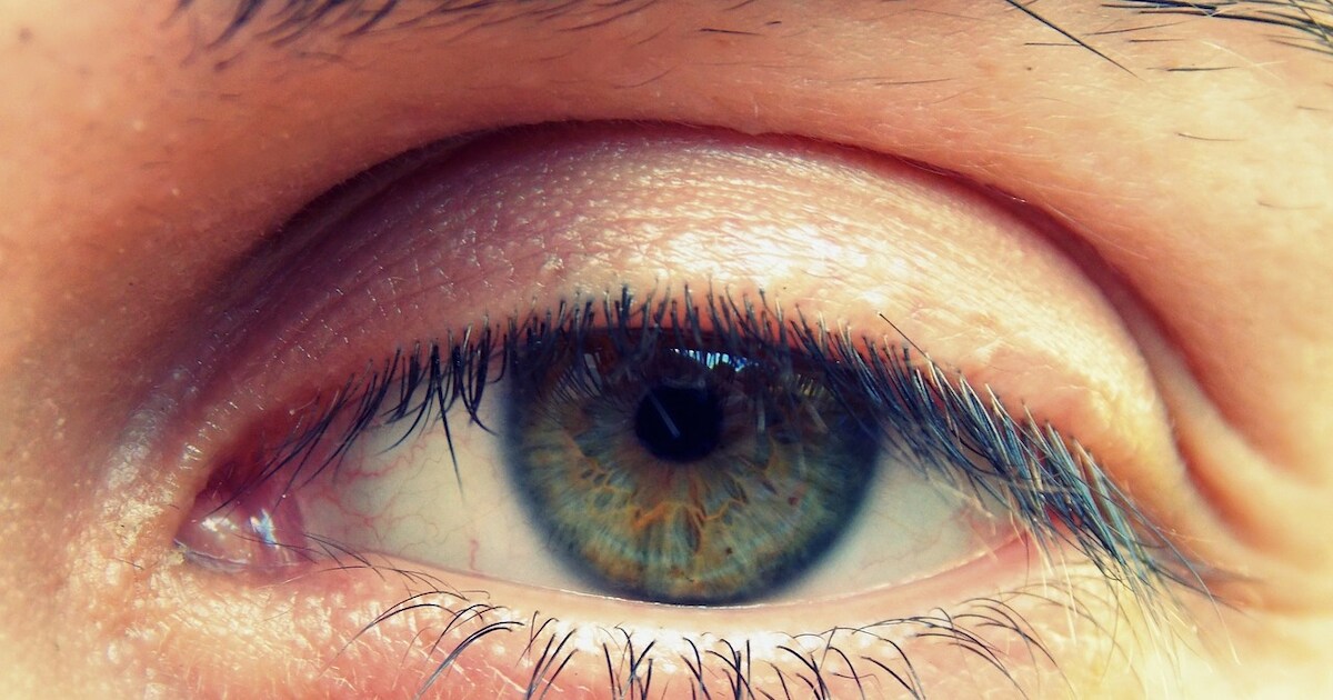 Heb jij je oog weleens van heel dichtbij gezien? Maak gratis een uniek oogportret