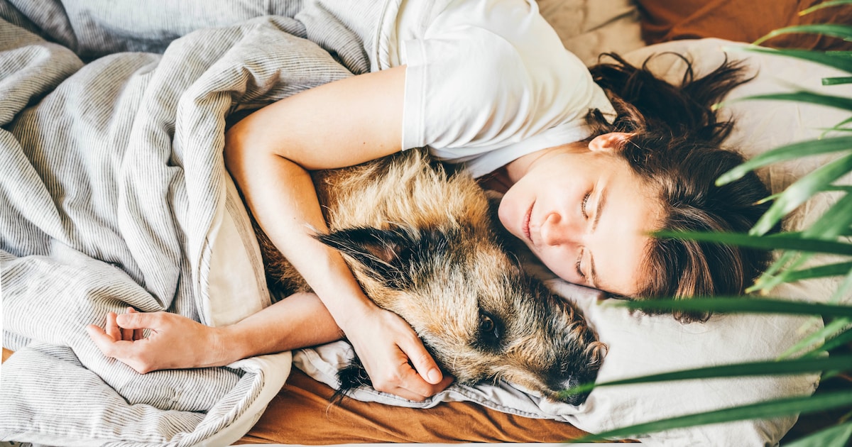 Met je huisdier in bed slapen, is dat gezond? ‘Kans op huidziekte of schimmel’