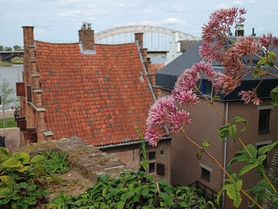 Artist talk en filmavond in Besiendershuis Nijmegen