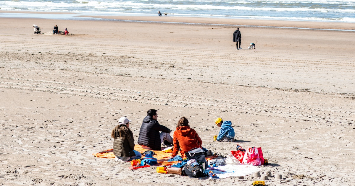 Strand Heemskerk ontvangt Blauwe Vlag voor veilig strand