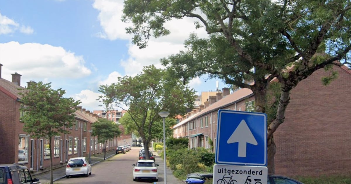 Onthulling informatiebord bij Springtijpad in Papendrecht