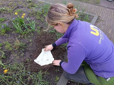 Onderbroek begraven in je achtertuin voor een gezonde bodem