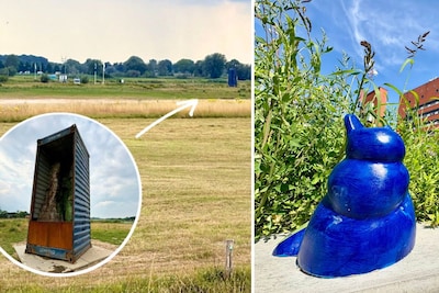 Van container langs de IJssel tot opvallende 'katten': 7 x de populairste Zwolse mysteries van 2025