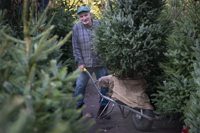 Ad stopt na 57 jaar met verkoop van kerstbomen: ‘Ik kocht ze voor twee, dan gingen ze voor vier van 