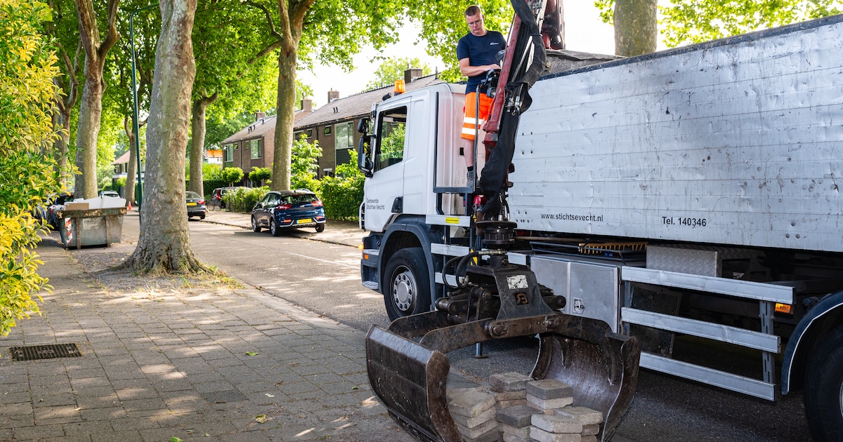 In de hoop op meer groen: tegeltaxi rijdt woensdag 9 september door Zaltbommel