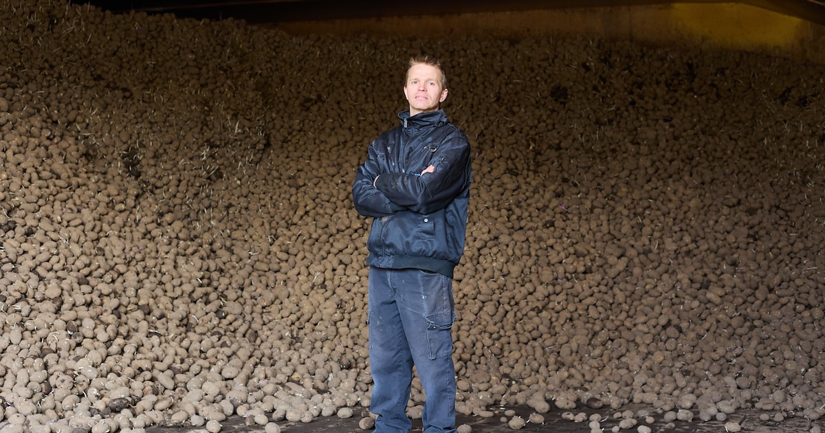 Boer Johan uit Hapert heeft tonnen aardappe­len over: ‘Zelfs gratis willen sommigen ze niet hebben’