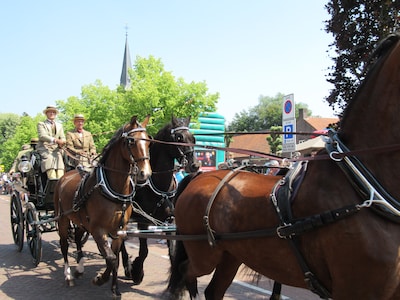 Pinksterrit Valkenswaard met authentieke rijtuigen: circa 45 koetsen