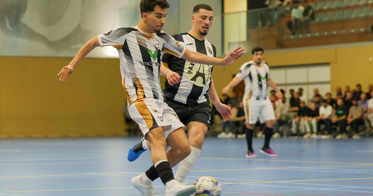 Nog één wedstrijd verwijderd van geschiedenis, Futsal Team Bergen op Zoom wacht finale: ‘Alleen dat 