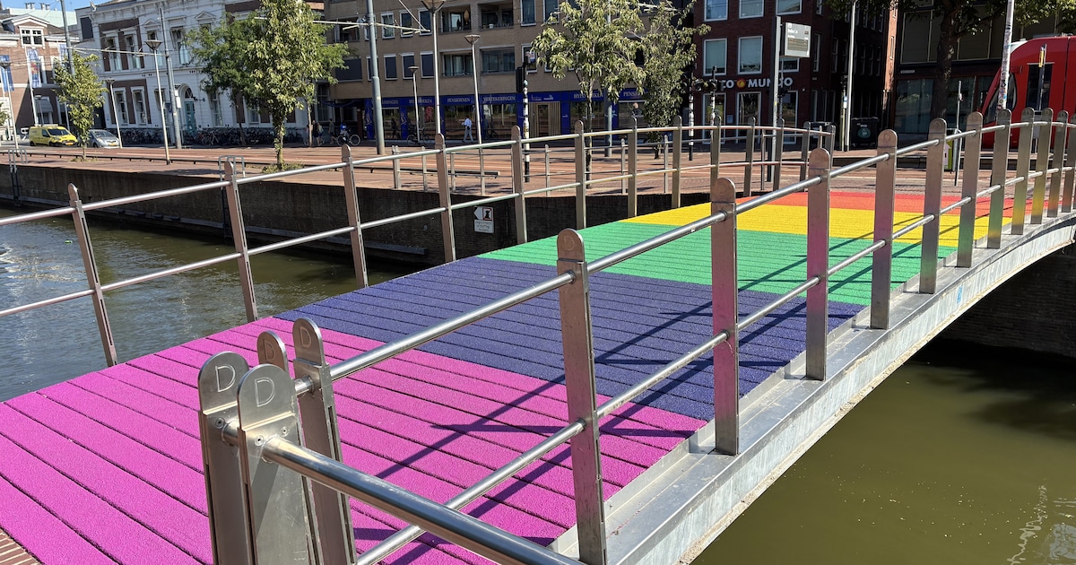 Kleurrijk! De regenboogbrug in Delft is opnieuw geverfd