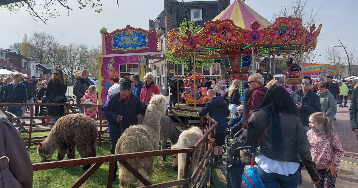 Dieren op de braderie? 'Wij hebben dierenwelzijn echt hoog in het vaandel staan'