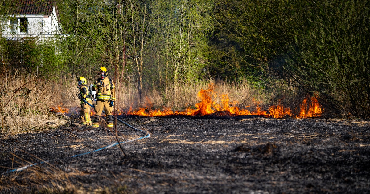 Veel rook bij brand in park aan Hordijk in Rotterdam