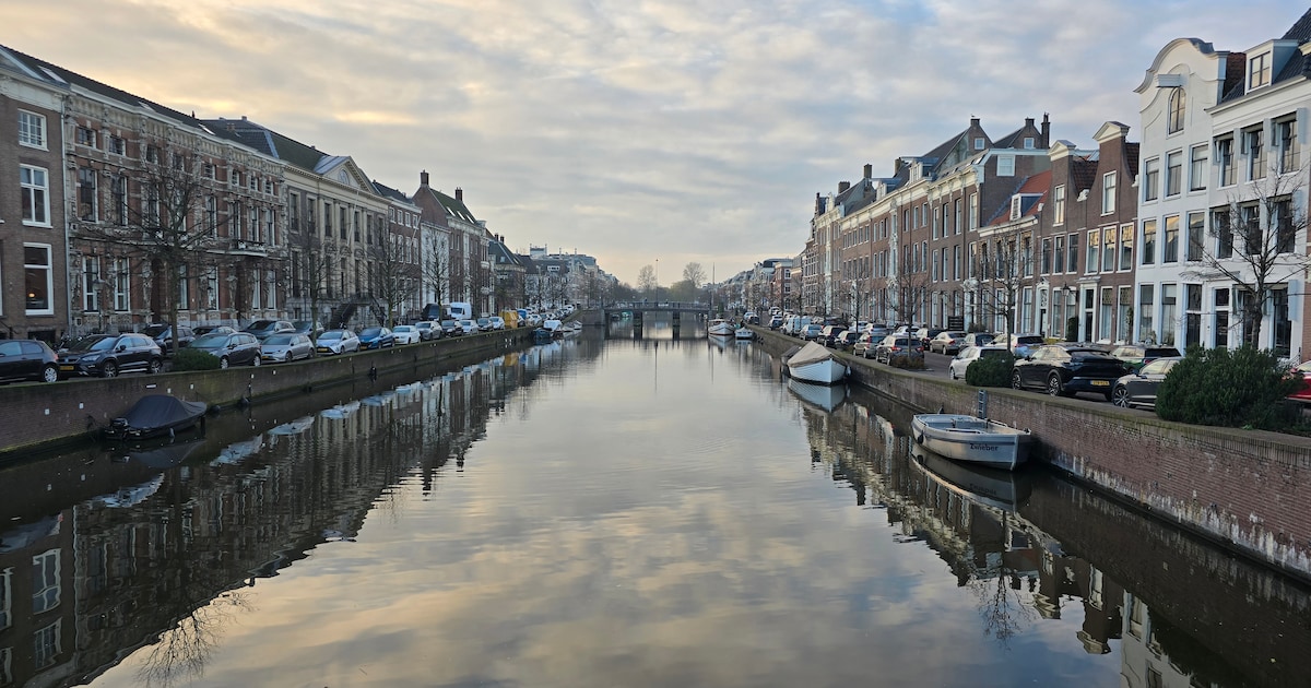 Wegwerkzaamheden in Haarlem: houd hier rekening mee deze week (26 januari – 1 februari)