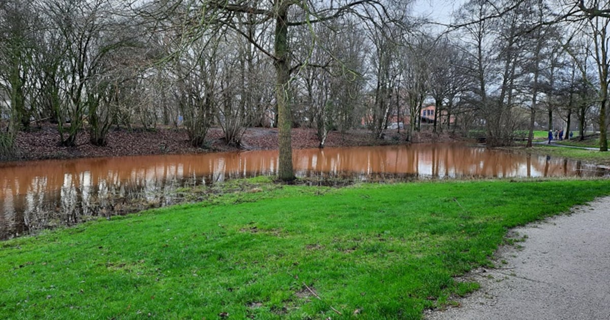 Wandeling door Mellepark Uden belicht Breuk van Melle