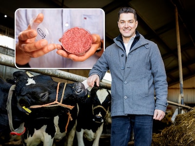Op de boerderij van Corné groeien miljoenen cellen uit tot kweekvlees, maar kopen kan nog niet