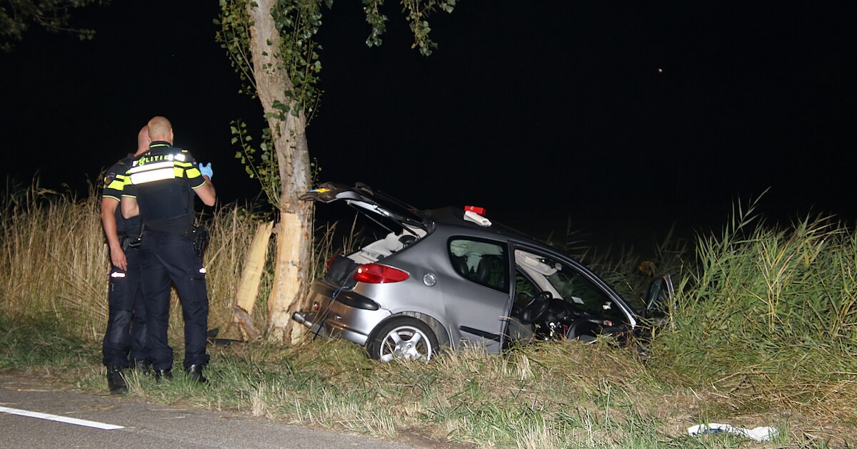 Auto ramt boom in Vrouwenpolder: bijrijder gewond, bestuurster aangehouden
