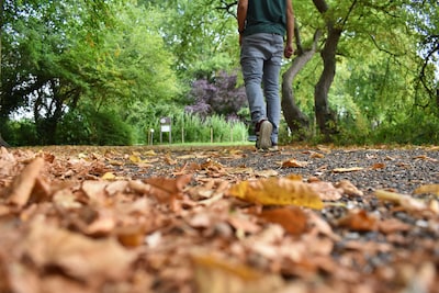 Autumn break in Haarlem: this is the weather forecast