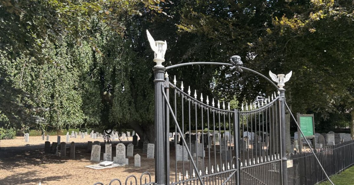 Zorg voor monumentale bomen op Oude Begraafplaats Nieuw-Lekkerland