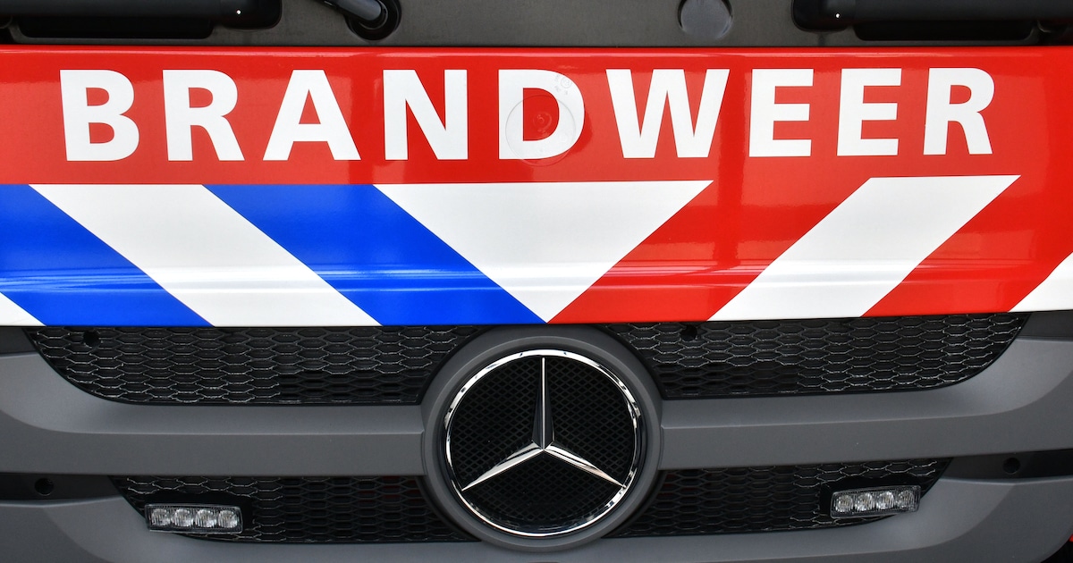 Geparkeerde auto in brand gestoken door duo met bivakmutsen