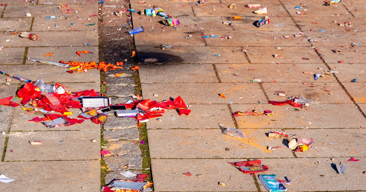 Dronten zet streep door inzameling van kerstbomen en vuurwerkafval